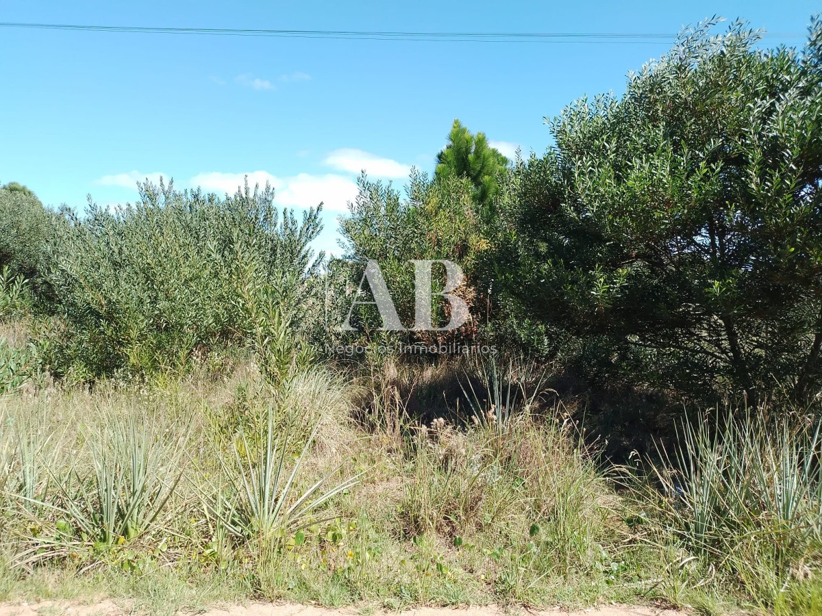 Terreno ID.111 - Terrenos zona Terminal. Mza 50