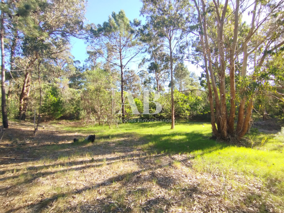 Terreno ID.299 - Lote de 1050m2 a pocas cuadras de la playa