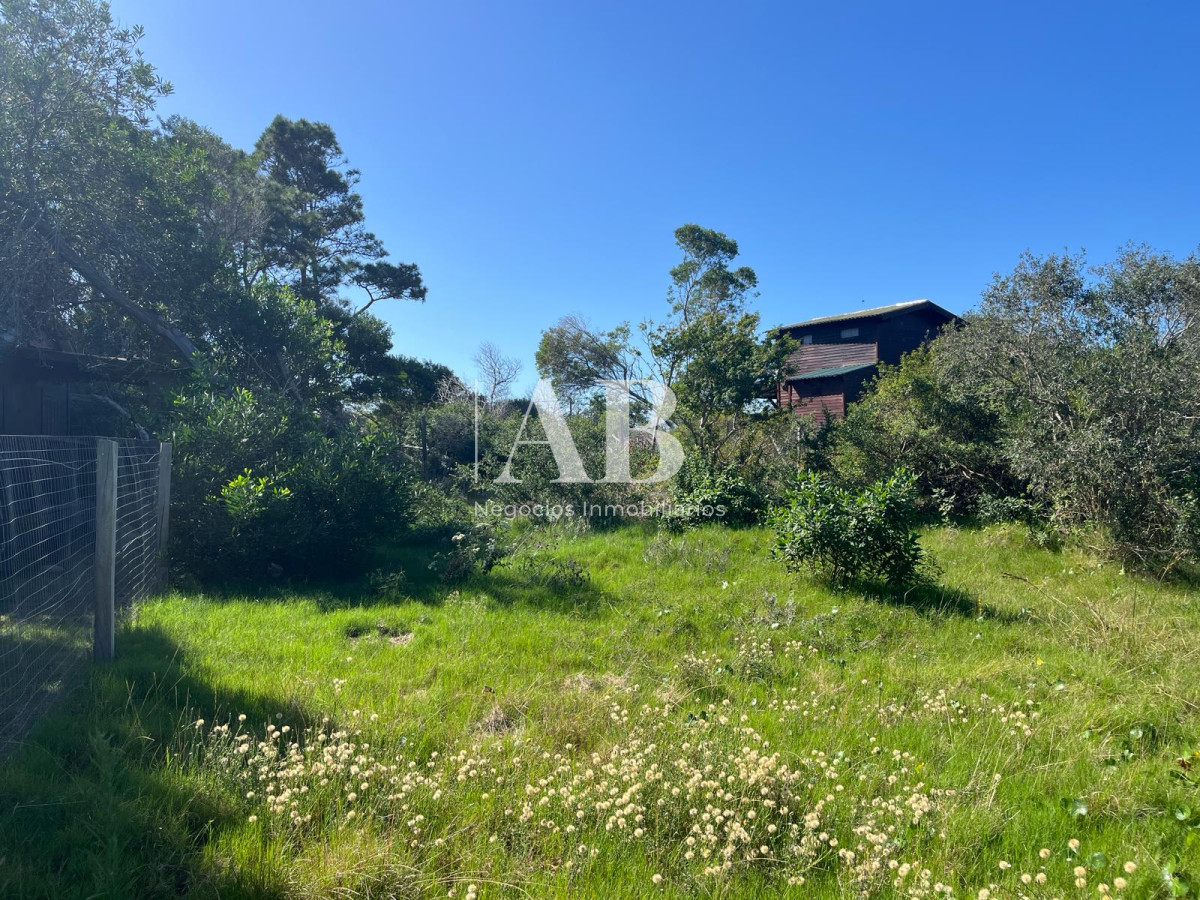 Terreno ID.113 - Terreno zona bosque Punta del Diablo - Mza 60