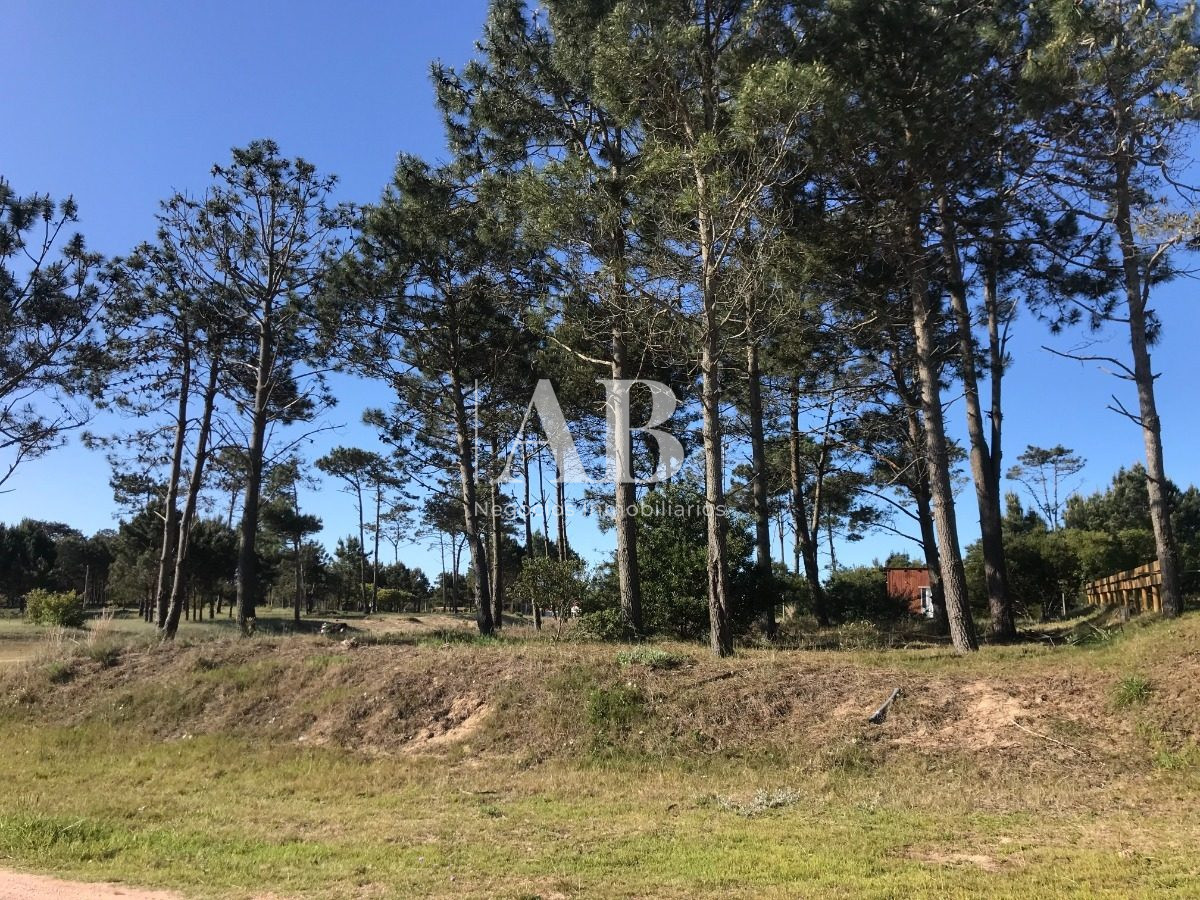 Terreno ID.70 - Solar Esquinero - En Venta - 530m2 En La Viuda - Mza 222