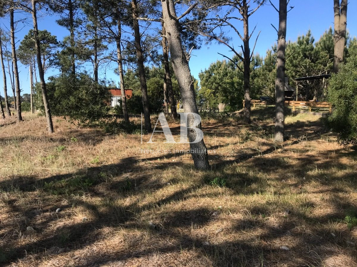 Terreno ID.70 - Solar Esquinero - En Venta - 530m2 En La Viuda - Mza 222