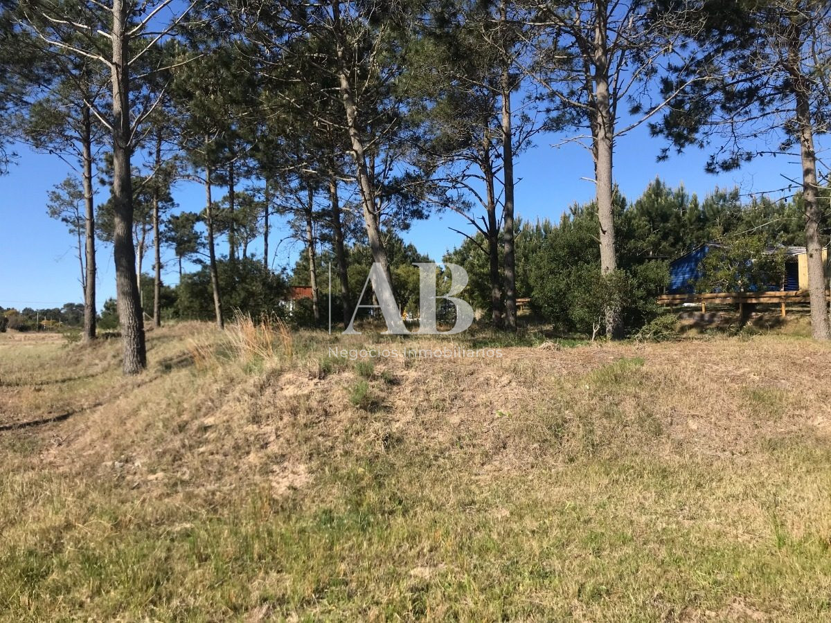 Terreno ID.70 - Solar Esquinero - En Venta - 530m2 En La Viuda - Mza 222