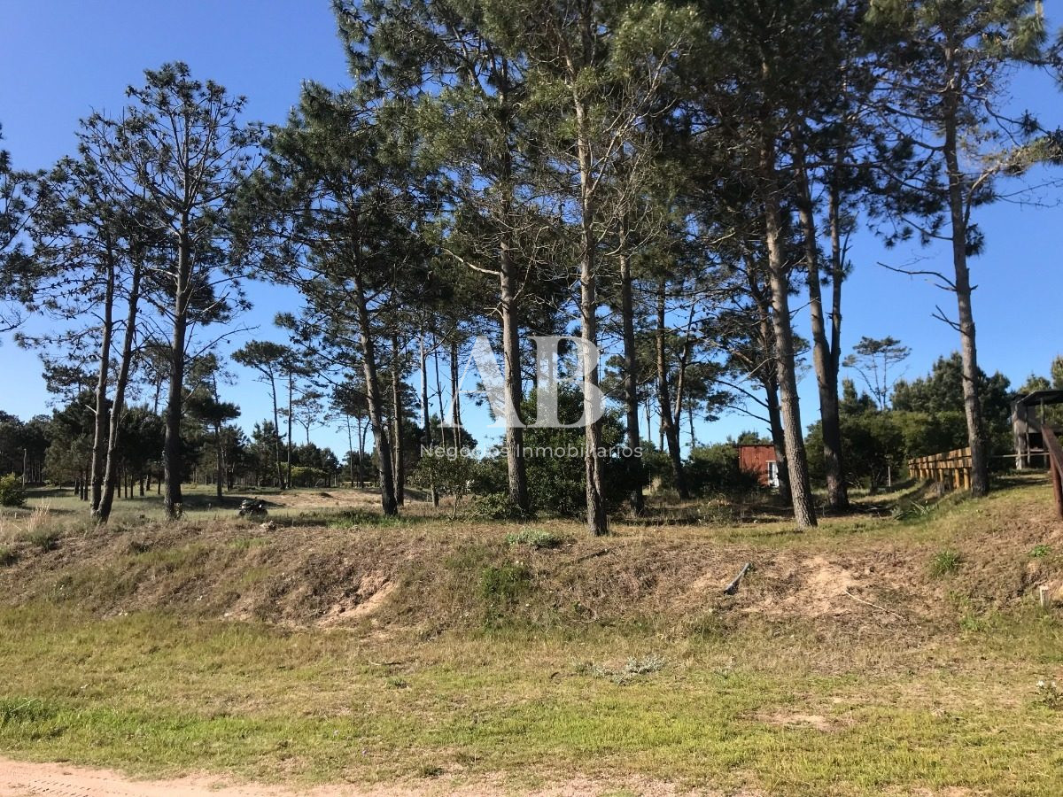 Terreno ID.70 - Solar Esquinero - En Venta - 530m2 En La Viuda - Mza 222