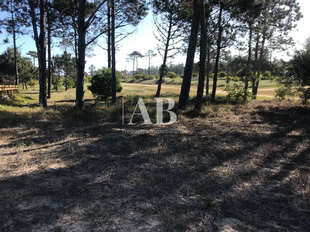 Terreno ID.70 - Solar Esquinero - En Venta - 530m2 En La Viuda - Mza 222