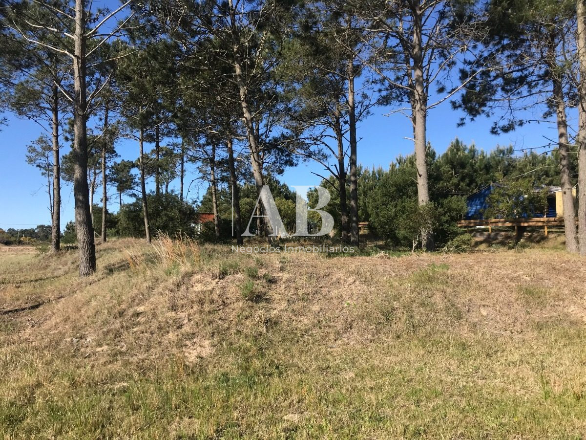 Terreno ID.70 - Solar Esquinero - En Venta - 530m2 En La Viuda - Mza 222