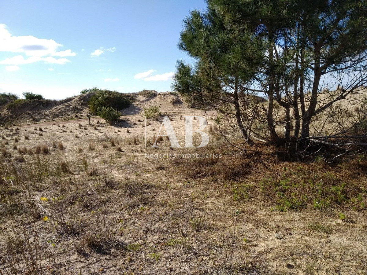 Terreno ID.71 - Terrenos Frente A Playa Grande - Punta Del Diablo - Mza 21