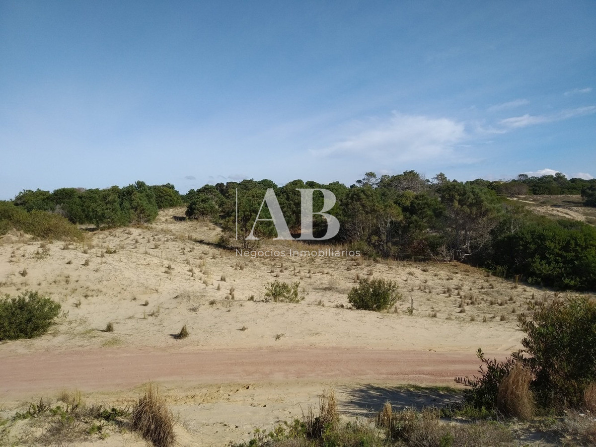 Terreno ID.71 - Terrenos Frente A Playa Grande - Punta Del Diablo - Mza 21