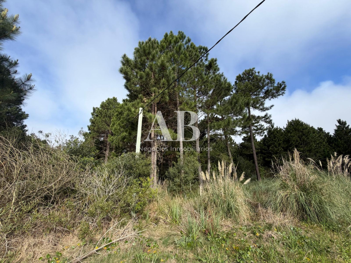 Terreno ID.385 - ¡ OPORTUNIDAD ! En venta 1000m2 en Punta Del Diablo Barrio Pinares