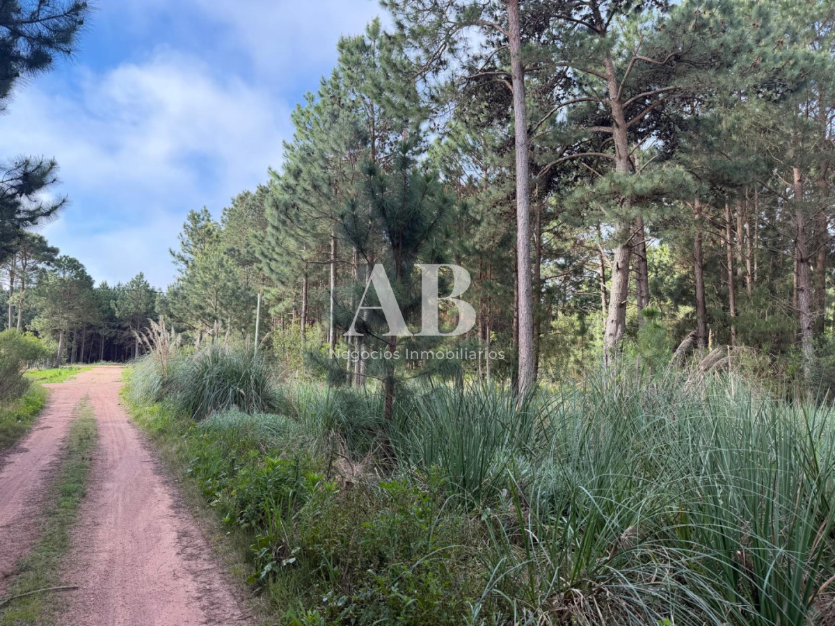 Terreno ID.385 - ¡ OPORTUNIDAD ! En venta 1000m2 en Punta Del Diablo Barrio Pinares