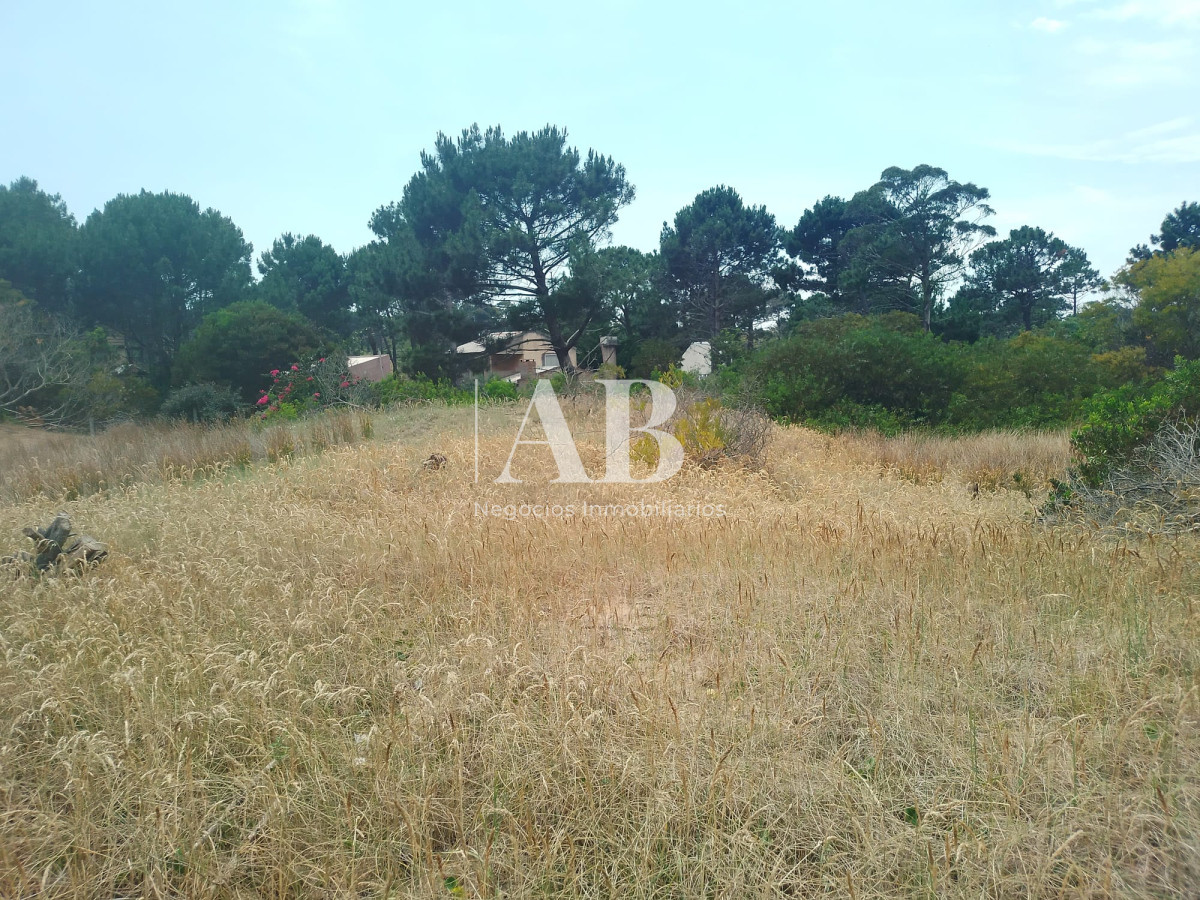 Terreno ID.170 - En venta solar con buena ubicación en La Esmeralda.