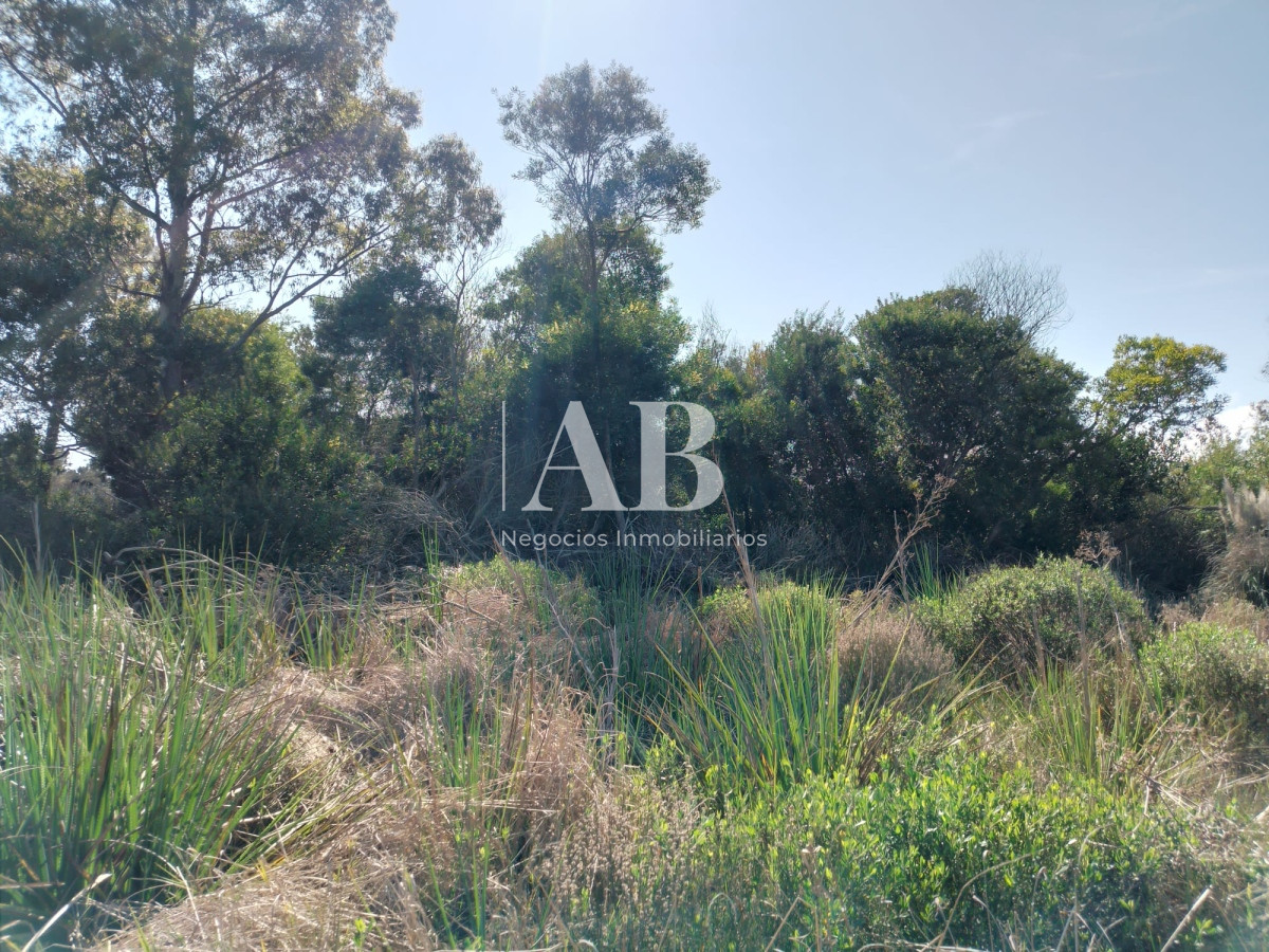 Terreno ID.157 - Terreno La Esmeralda Mza. 383 s.13