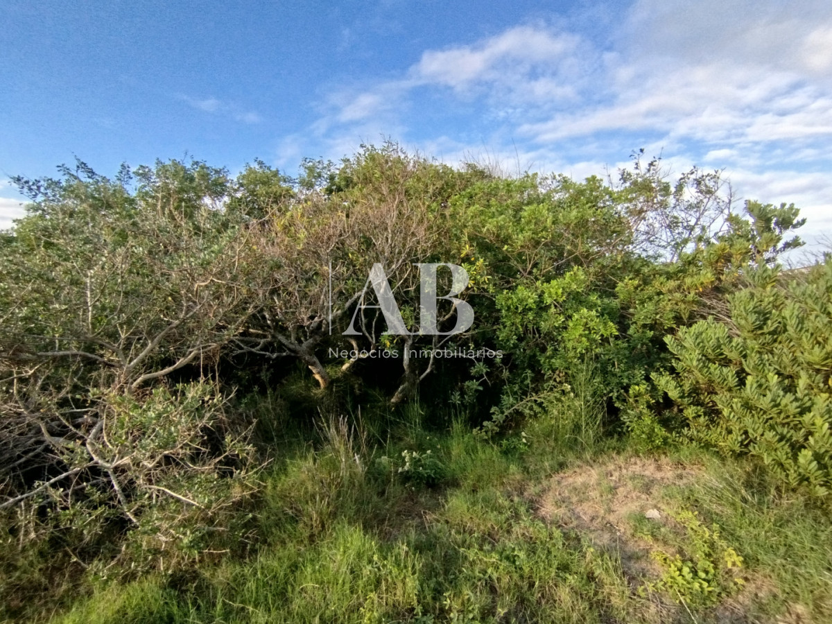 Terreno ID.302 - Terreno a una cuadra de la playa, Punta del Diablo