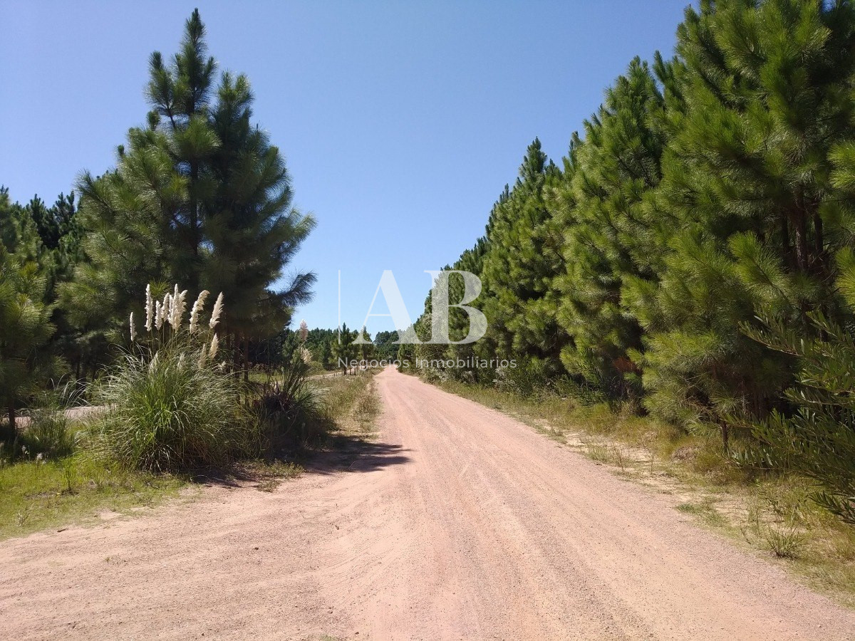 Apartamento ID.7 - 3 Solares Barrio Pinares - Punta Del Diablo - Mza 125 