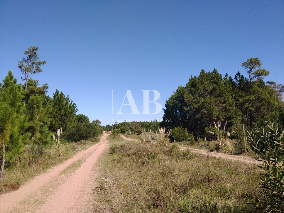Apartamento ID.7 - 3 Solares Barrio Pinares - Punta Del Diablo - Mza 125 