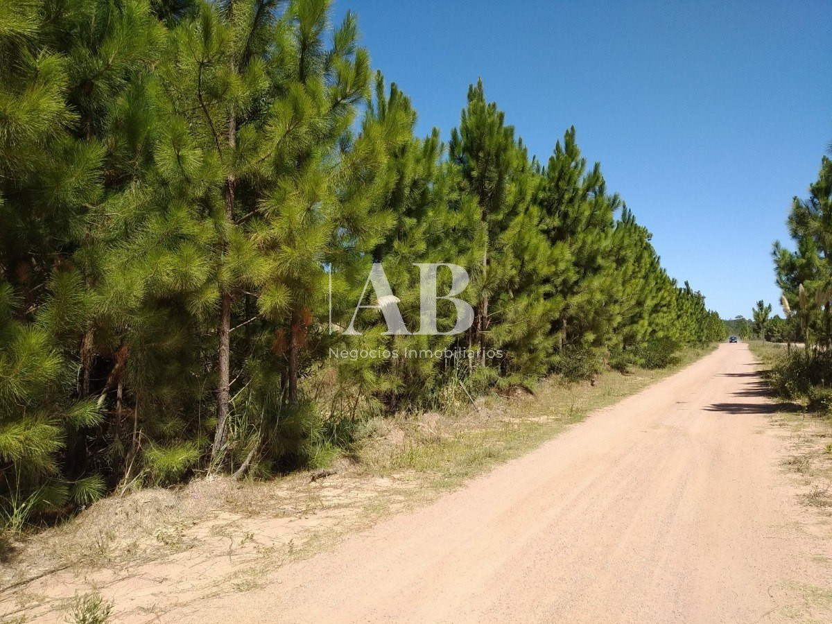 Apartamento ID.7 - 3 Solares Barrio Pinares - Punta Del Diablo - Mza 125 