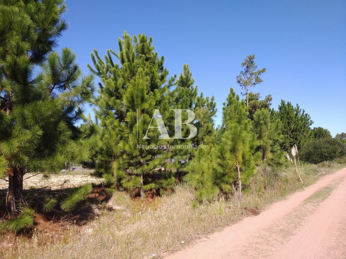 Apartamento ID.7 - 3 Solares Barrio Pinares - Punta Del Diablo - Mza 125 