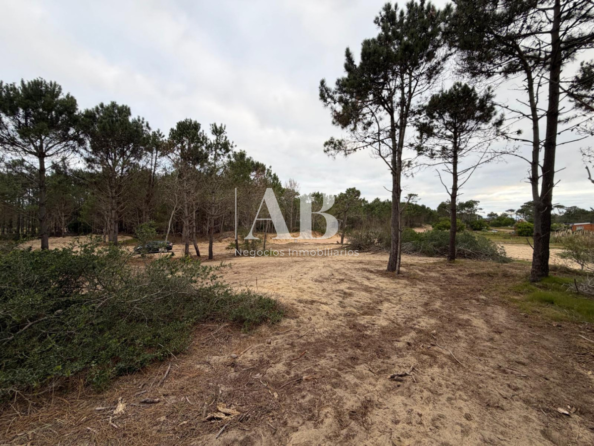 Terreno ID.319 - En venta Solar Esquinero Punta del Diablo- La Viuda