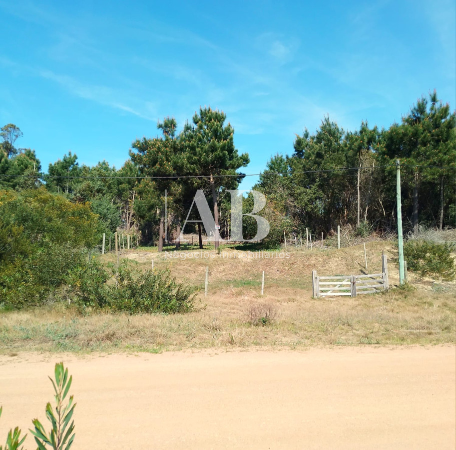 Terreno ID.156 - Terreno elevado La Esmeralda Av. 54 Mza 238