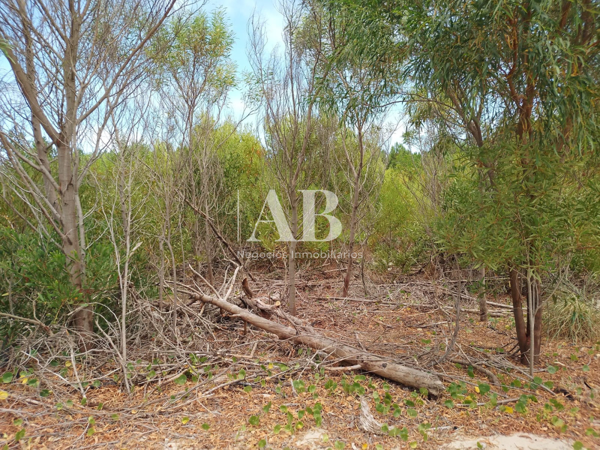 Terreno ID.194 - Terreno con buena ubicación en La Esmeralda calle 48 entre 3 y 4