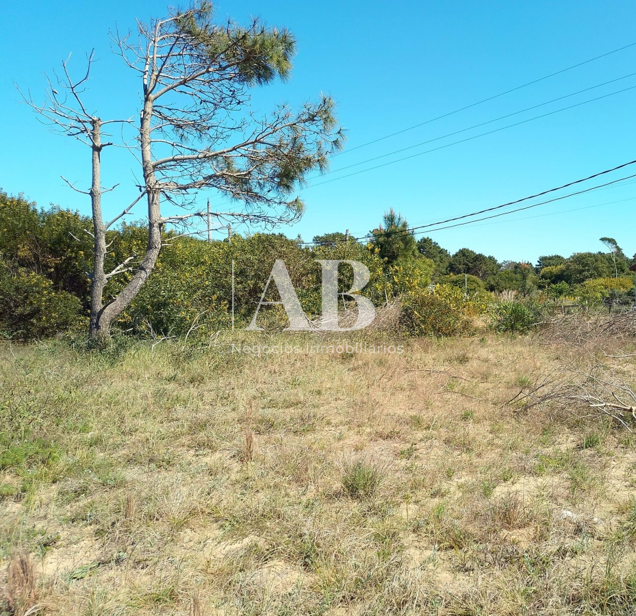 Terreno ID.161 - Terreno esquinero y elevado Mza. 186 S. 7