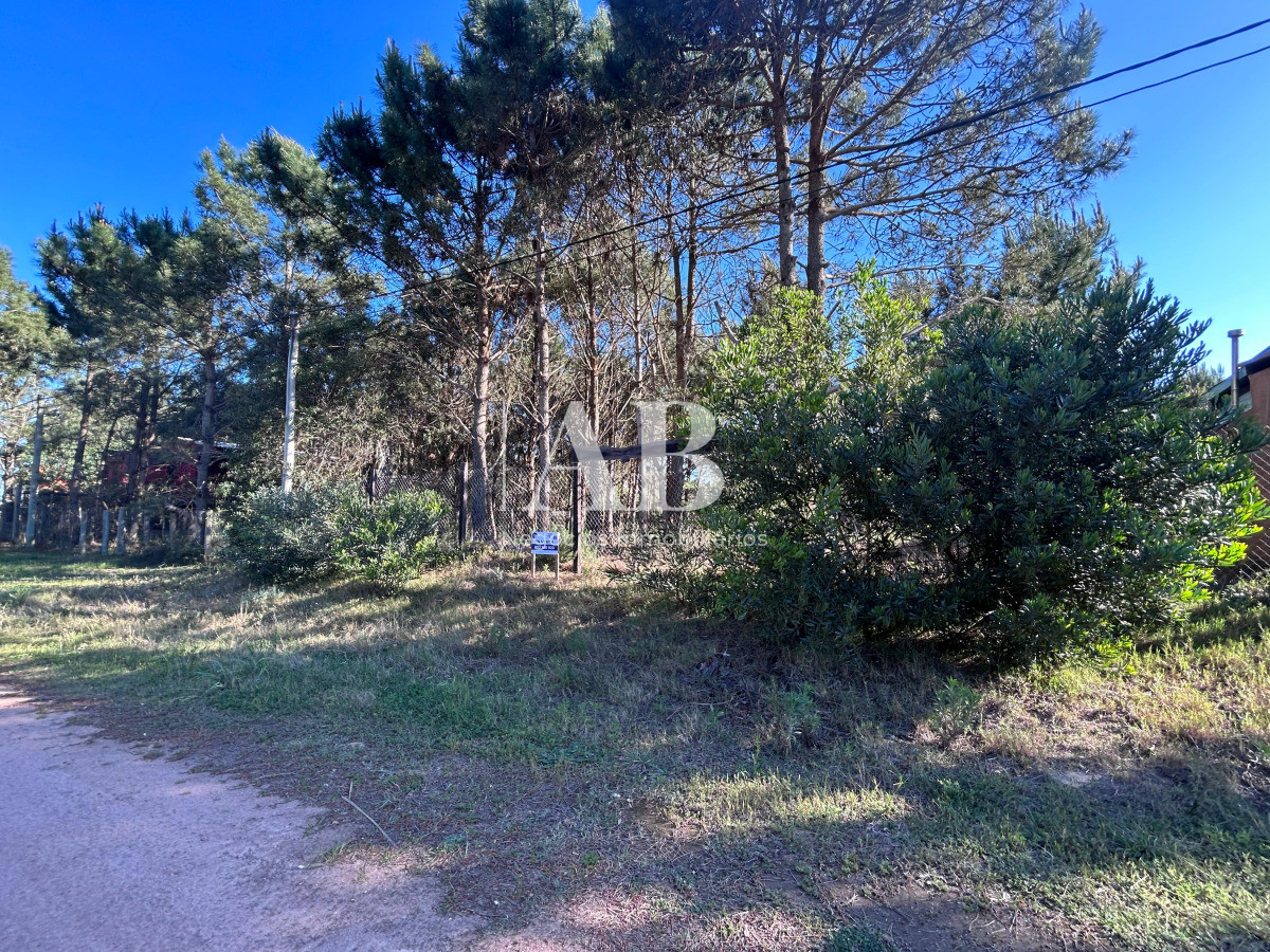 Terreno ID.256 - Solar en La Viuda - Manzana 203 - Punta del Diablo