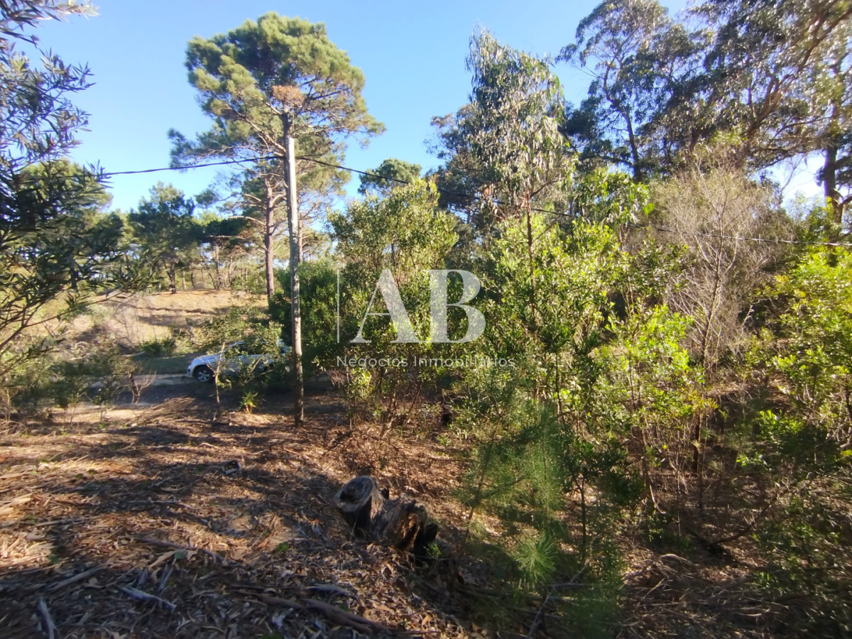 Terreno ID.299 - Lote de 1050m2 a pocas cuadras de la playa