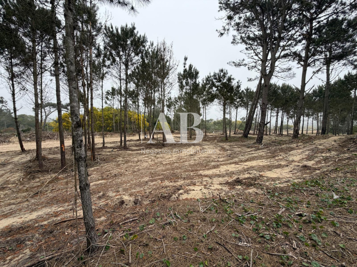Terreno ID.379 - Oportunidad solar en Playa La Viuda a 10 cuadras del Mar ! FINANCIADO solar 8