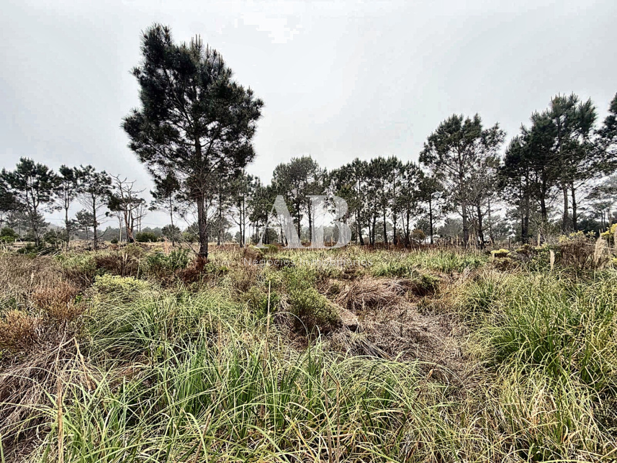 Terreno ID.377 - Solar de 510m2 a 400m de Playa 