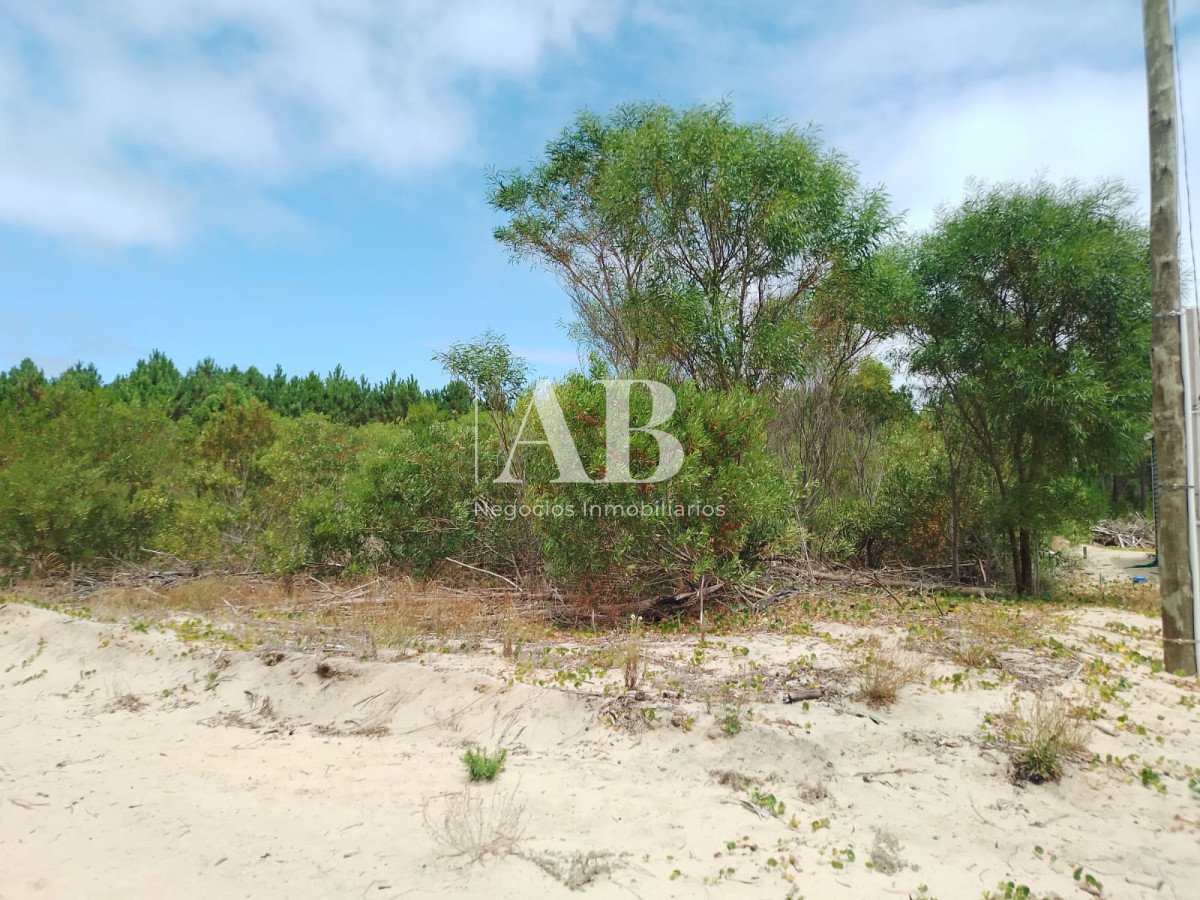 Terreno ID.194 - Terreno con buena ubicación en La Esmeralda calle 48 entre 3 y 4