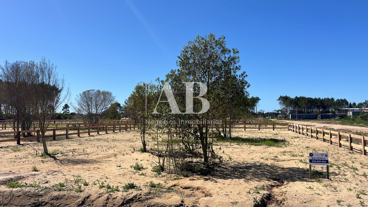 Terreno ID.265 - Terreno 3 en Distrito - Entrega U$D3.500 Punta del Diablo