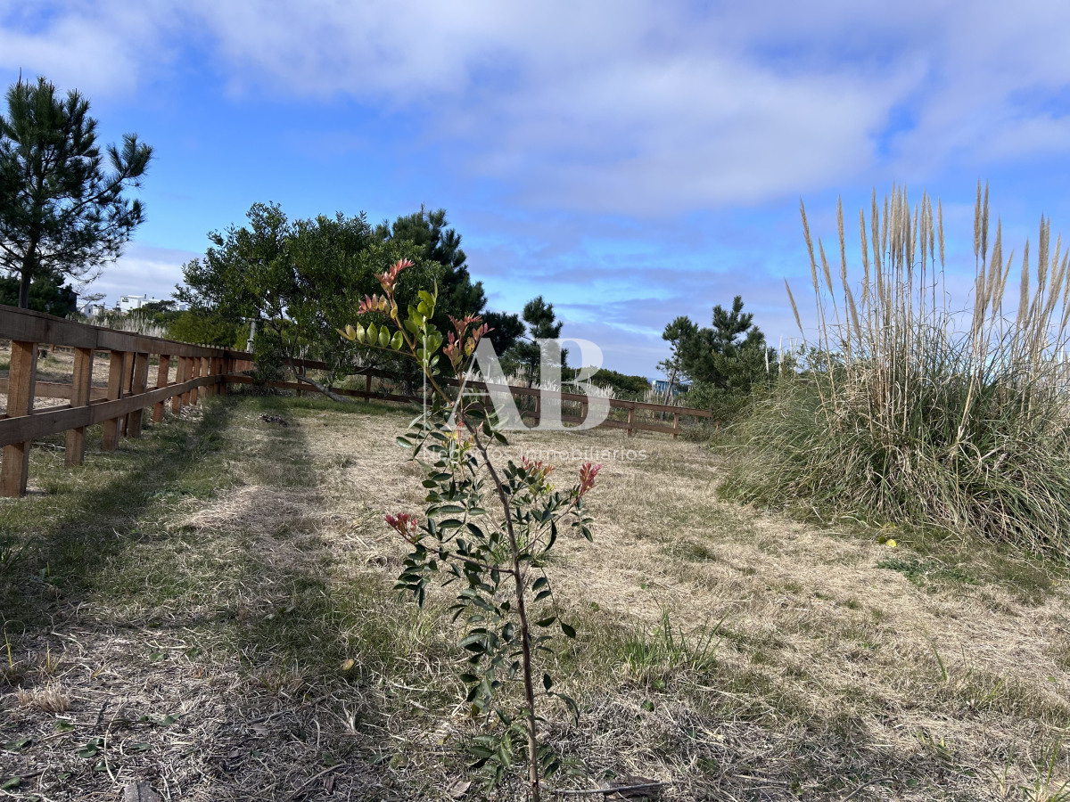 Terreno ID.241 - Terreno en Punta del Diablo a 200m Playa LaViuda - Solar 12