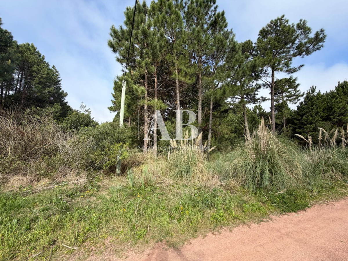 Terreno ID.385 - ¡ OPORTUNIDAD ! En venta 1000m2 en Punta Del Diablo Barrio Pinares