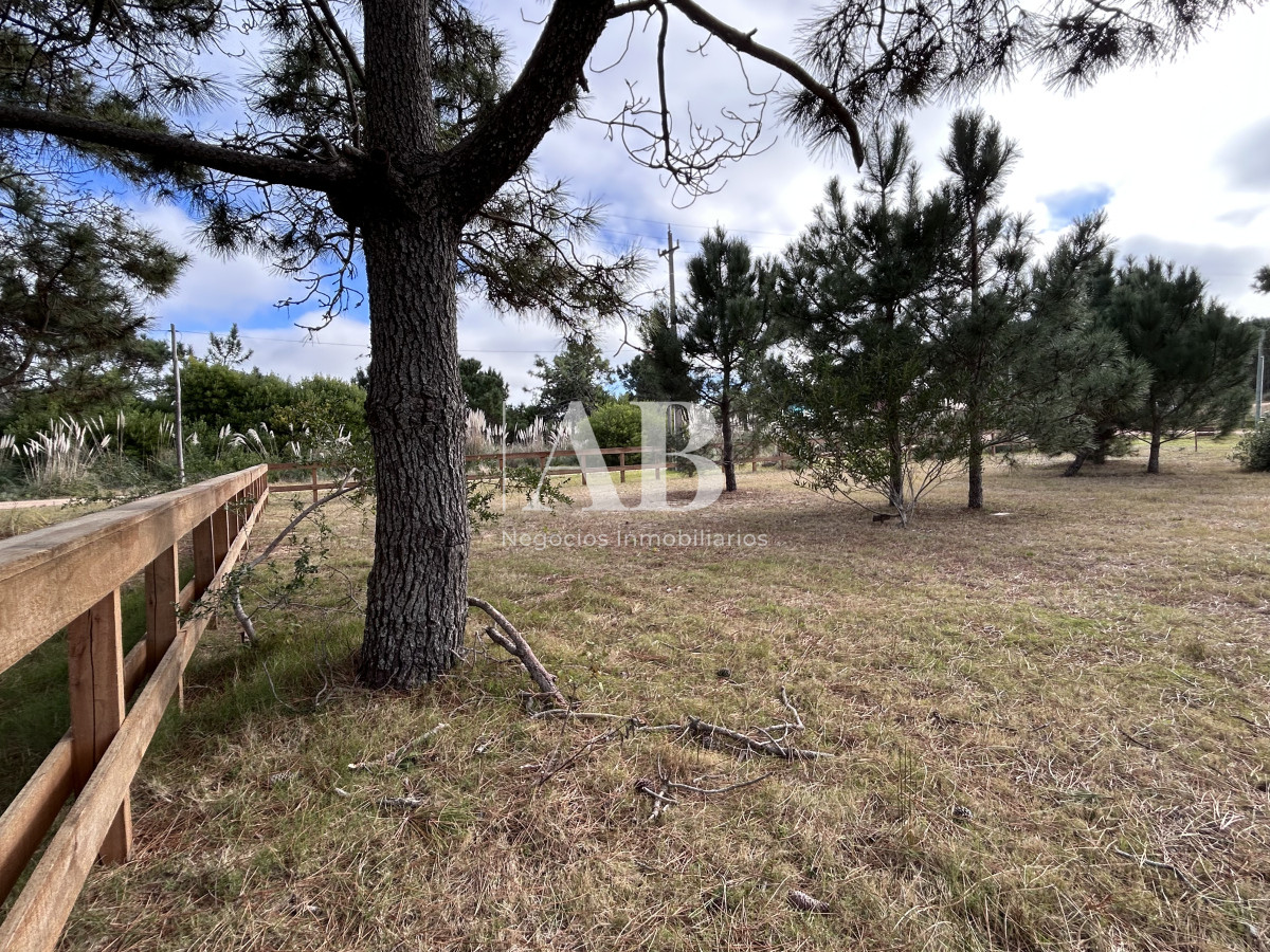 Terreno ID.75 - Raíces - Solares financiados a 200m Playa LaViuda 