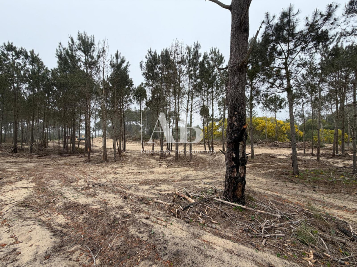 Terreno ID.379 - Oportunidad solar en Playa La Viuda a 10 cuadras del Mar ! FINANCIADO solar 8