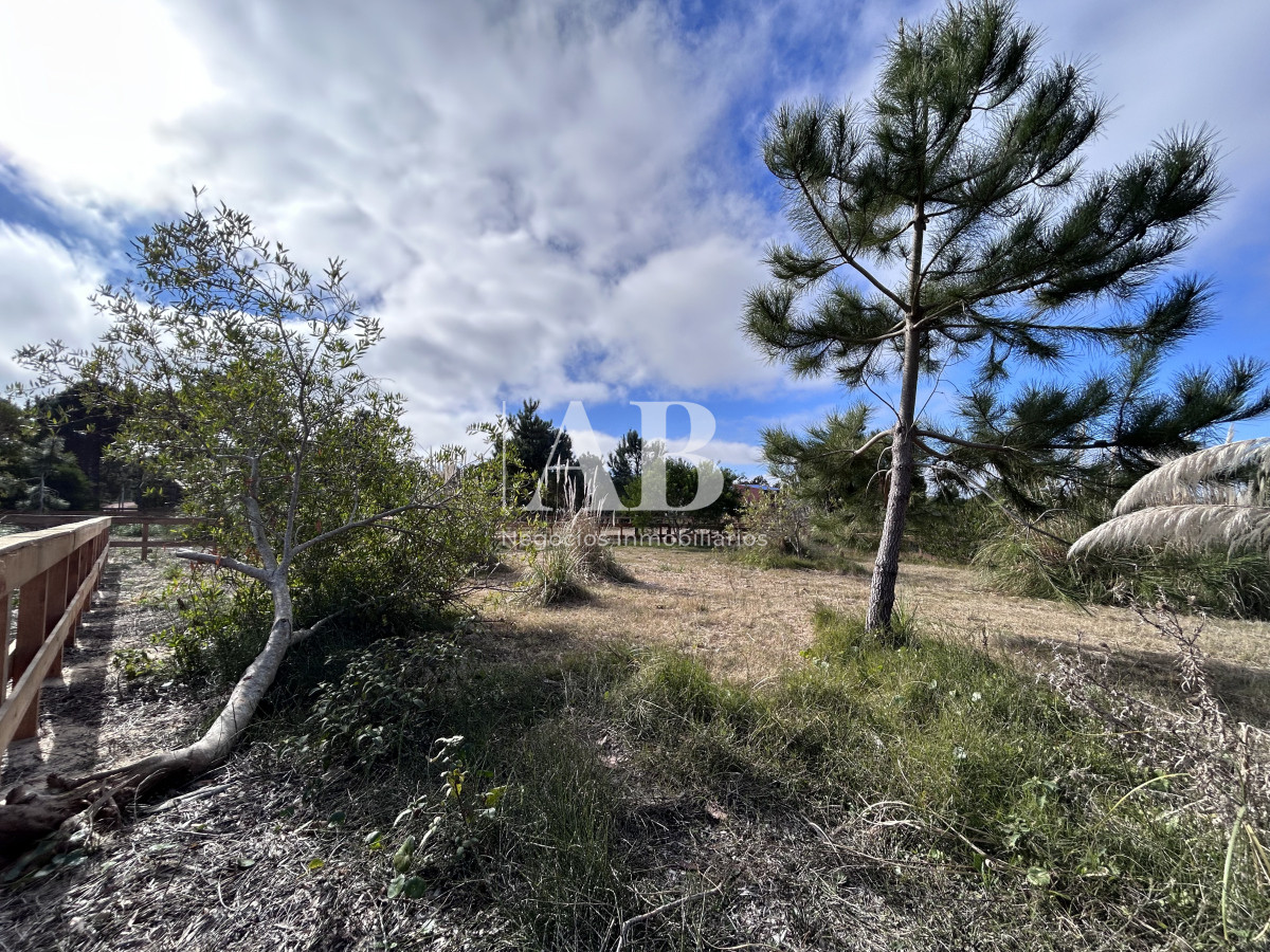 Terreno ID.241 - Terreno en Punta del Diablo a 200m Playa LaViuda - Solar 12