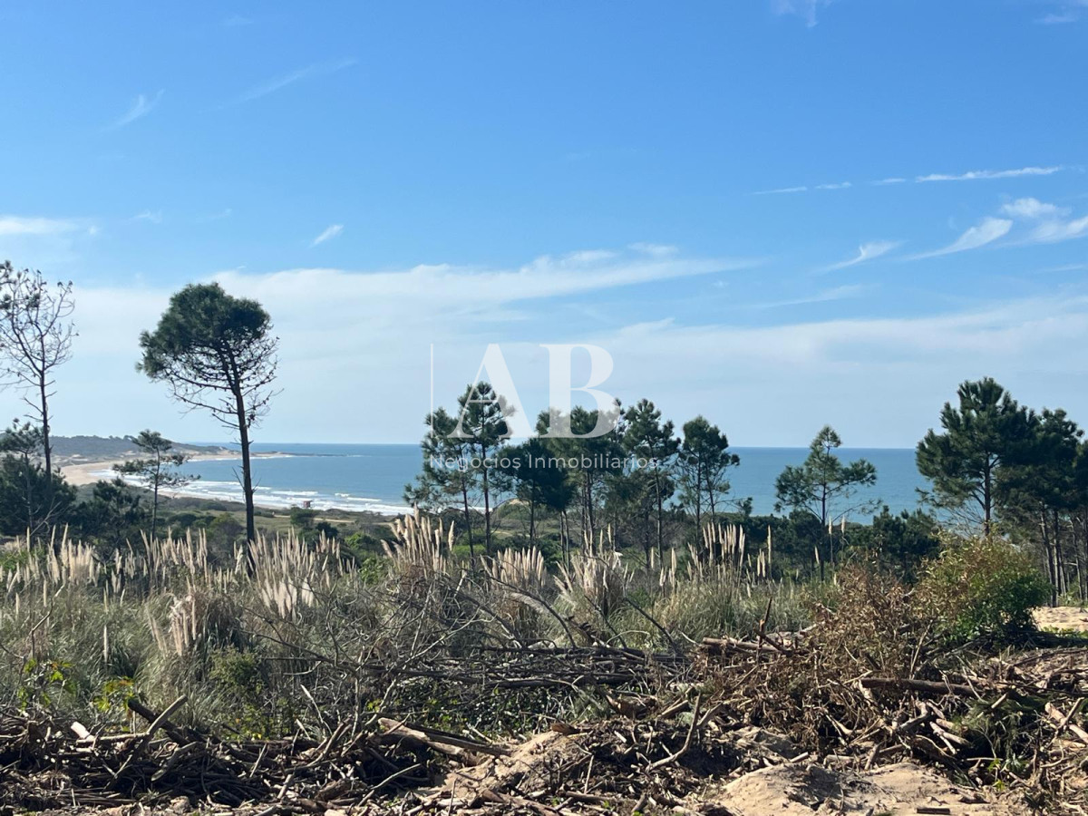 Terreno ID.214 - Solar en segunda línea Playa Grande - Punta del Diablo
