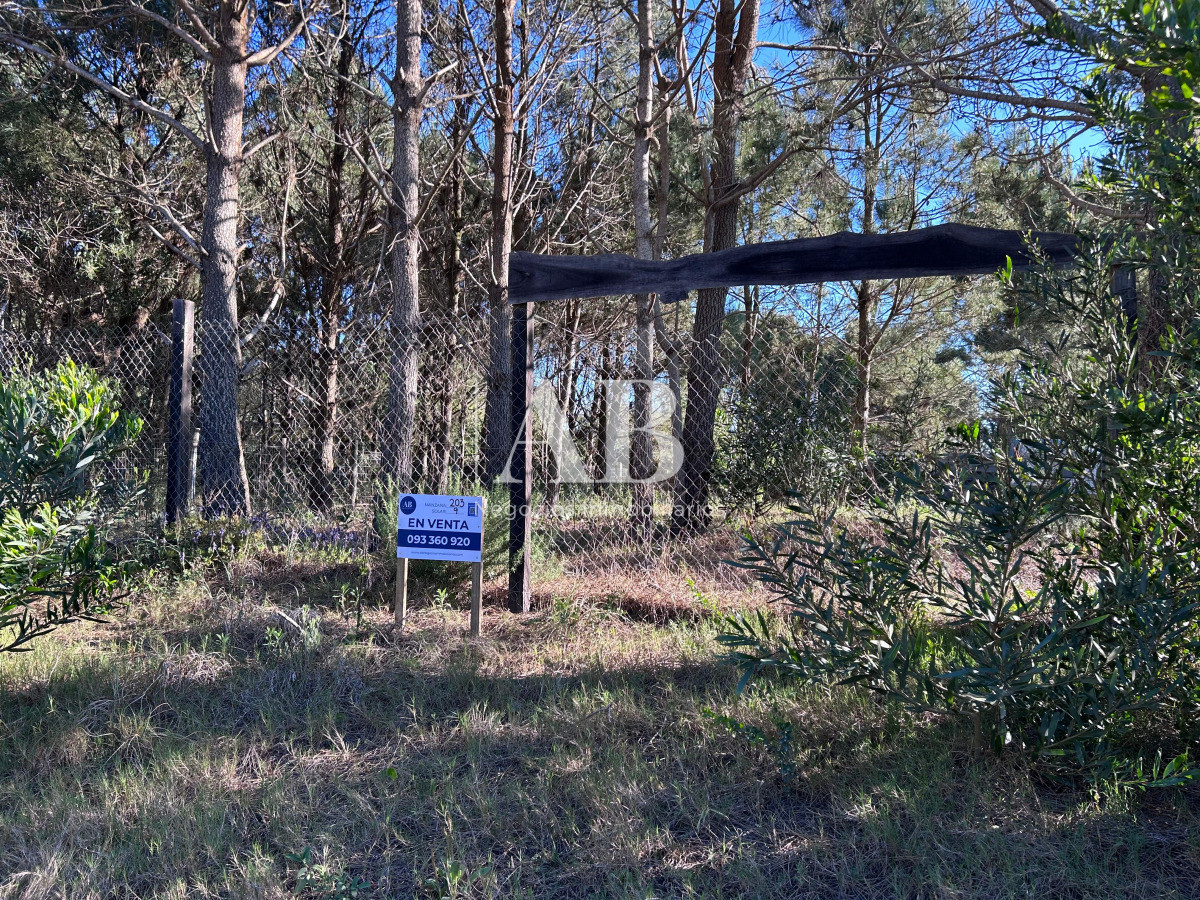 Terreno ID.256 - Solar en La Viuda - Manzana 203 - Punta del Diablo