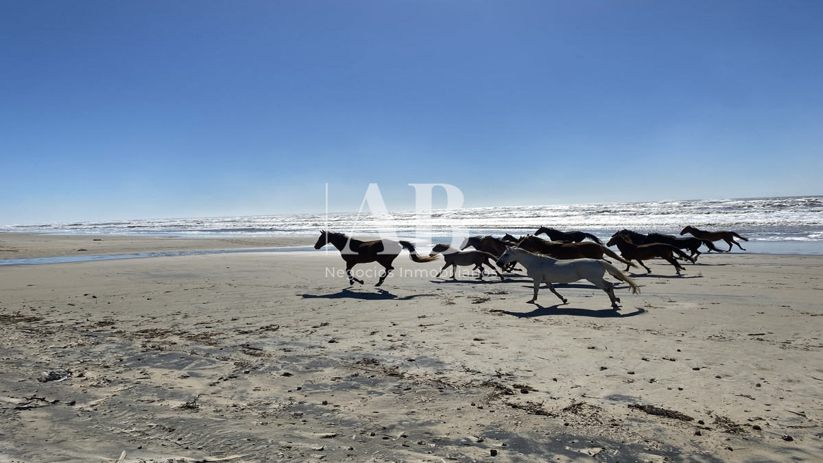 Terreno ID.86 - Barrio Privado al Mar - Lotes de 2500m2 - La Coronilla