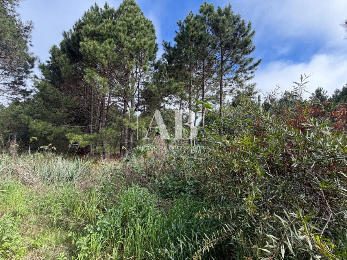Terreno ID.385 - ¡ OPORTUNIDAD ! En venta 1000m2 en Punta Del Diablo Barrio Pinares