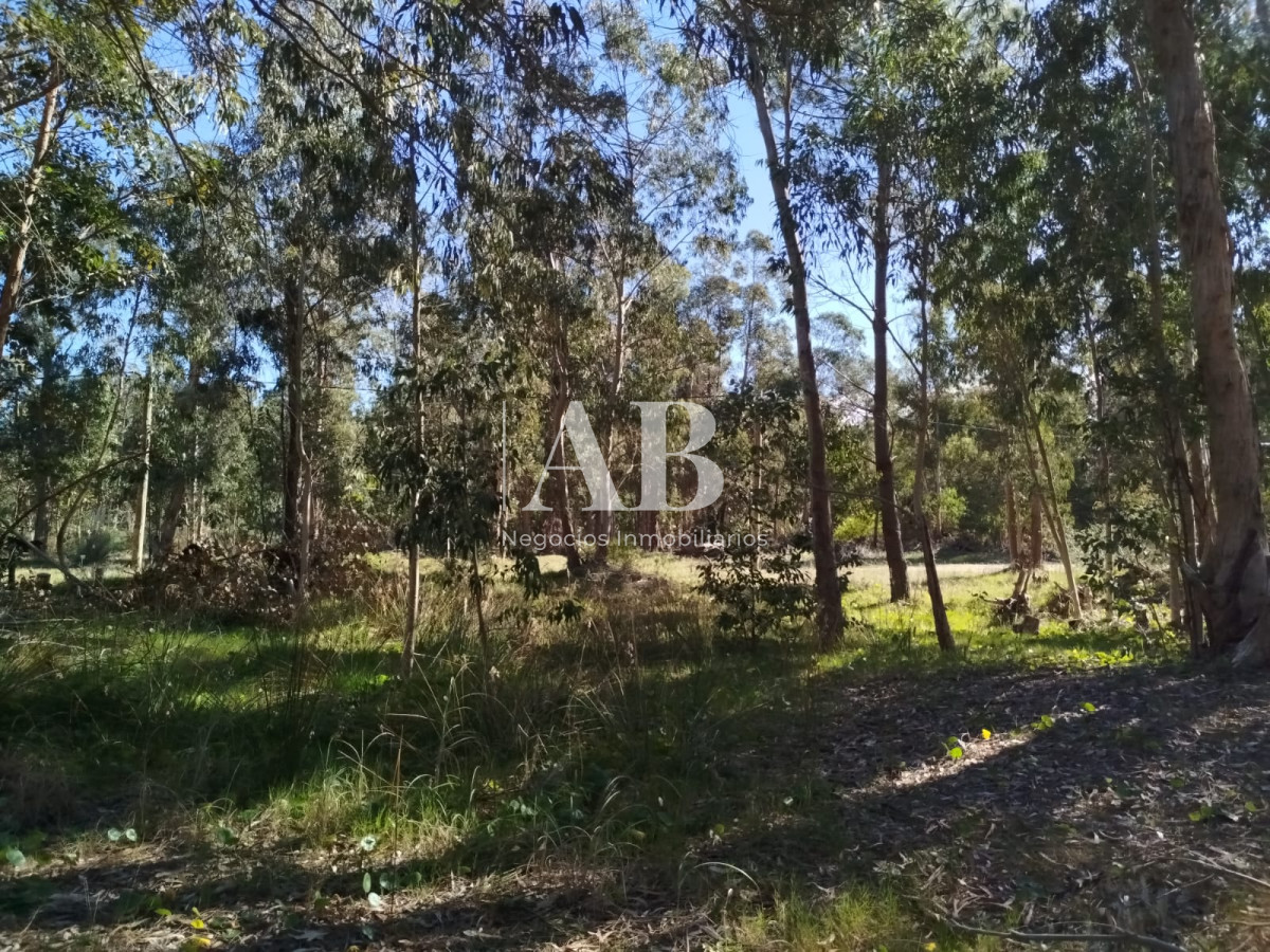 Apartamento ID.251 - Terreno zona Centro - La Esmeralda.