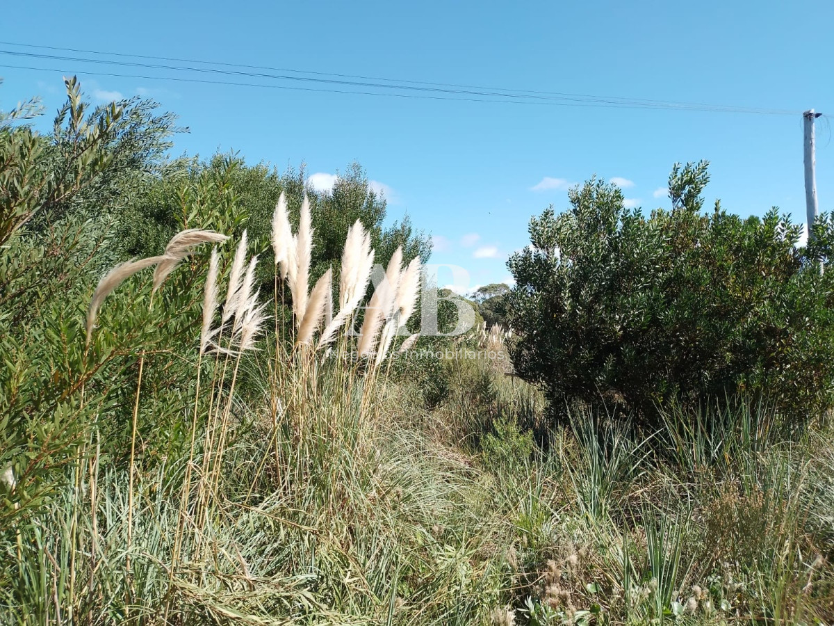 Terreno ID.111 - Terrenos zona Terminal. Mza 50