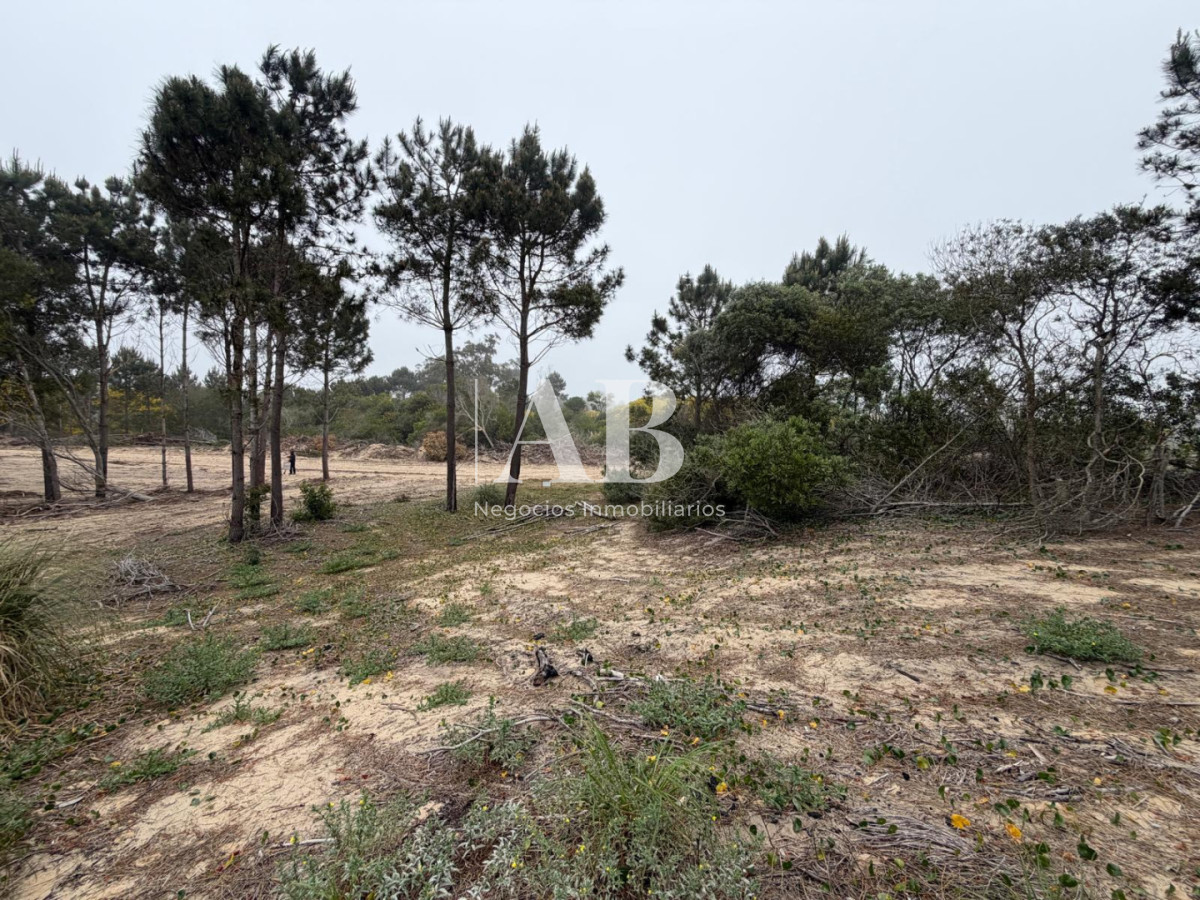 Terreno ID.382 - Oportunidad solar en Playa La Viuda a 10 cuadras del Mar ! FINANCIADO solar 3