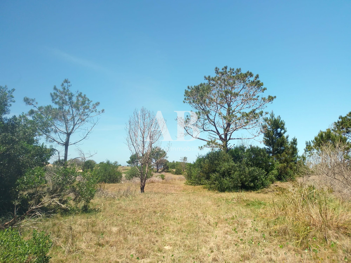 Terreno ID.166 - En venta 2 solares juntos o separados en excelente ubicación en La Esmeralda.