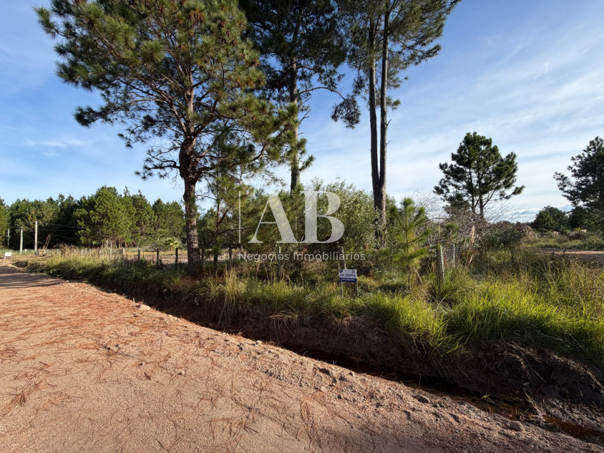 Terreno ID.336 - Hermosos Solares esquineros en barrio Pinares-Próximos Avenida Central!!