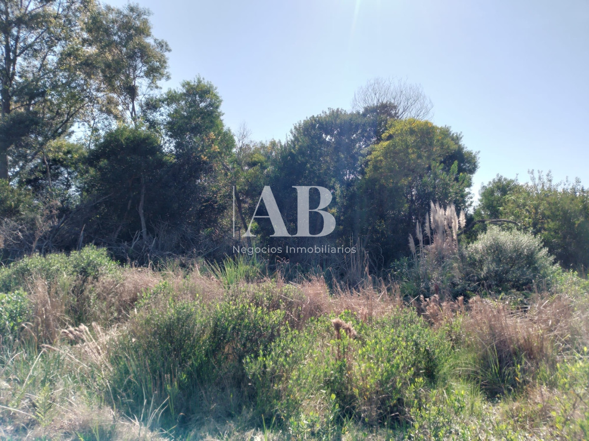 Terreno ID.157 - Terreno La Esmeralda Mza. 383 s.13