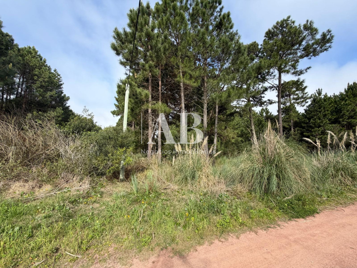 Terreno ID.385 - ¡ OPORTUNIDAD ! En venta 1000m2 en Punta Del Diablo Barrio Pinares