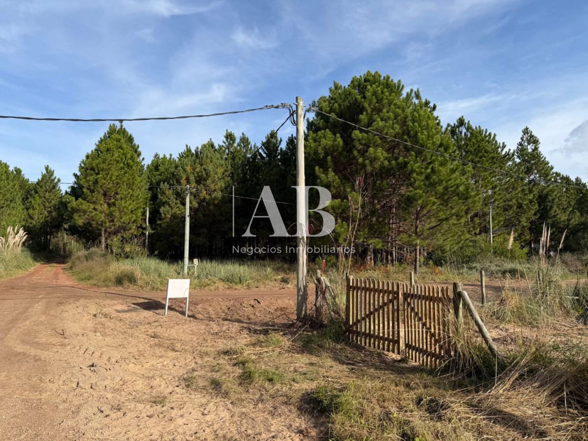 Terreno ID.336 - Hermosos Solares esquineros en barrio Pinares-Próximos Avenida Central!!