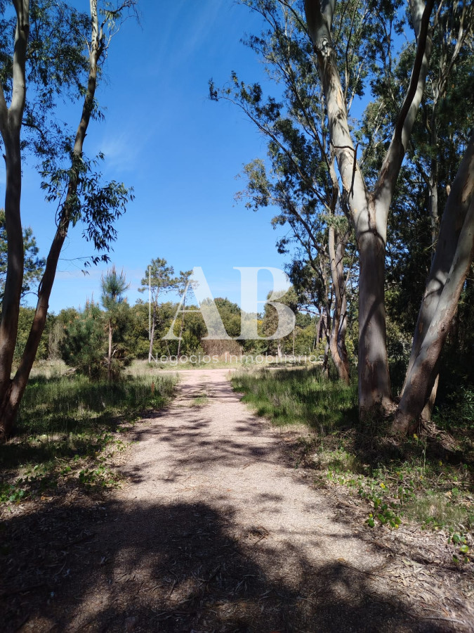 Terreno ID.273 - Dos terrenos a pocos metros de la playa en La Esmeralda.