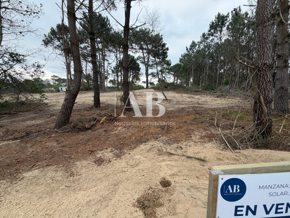 Terreno ID.319 - En venta Solar Esquinero Punta del Diablo- La Viuda