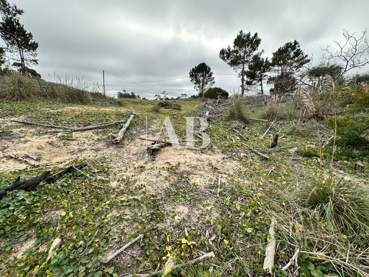 Terreno ID.315 - EN VENTA Solar 19 Manzana 232 - Punta del Diablo